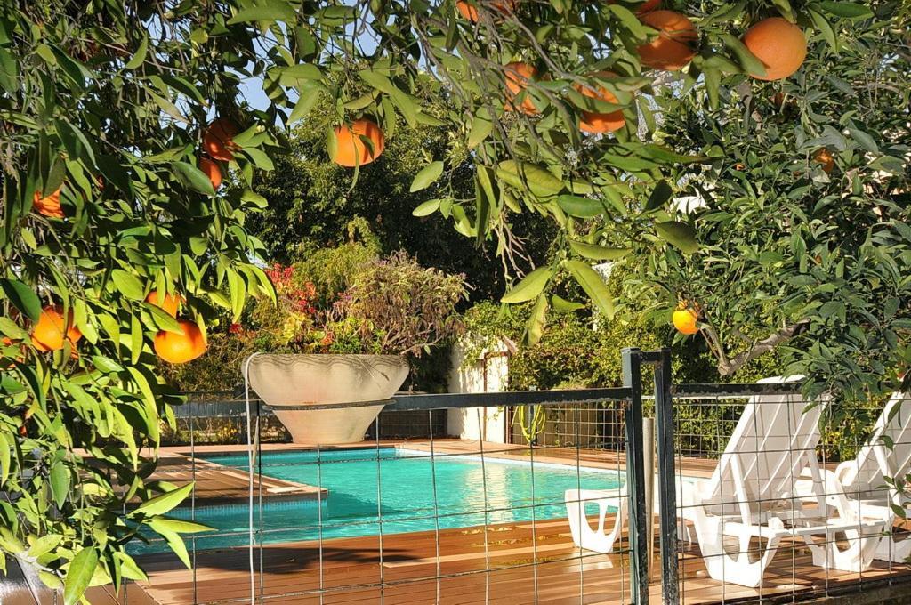 איתן בקתות עץ Eitan Wood Cabins Resort Sede Eli'ezer Luaran gambar